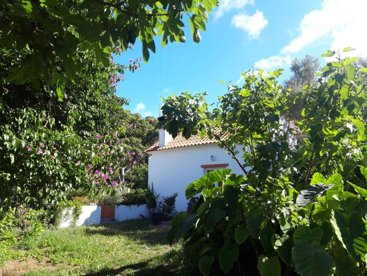 Quinta Algarve Das Relvinhas Monchique Esterno foto