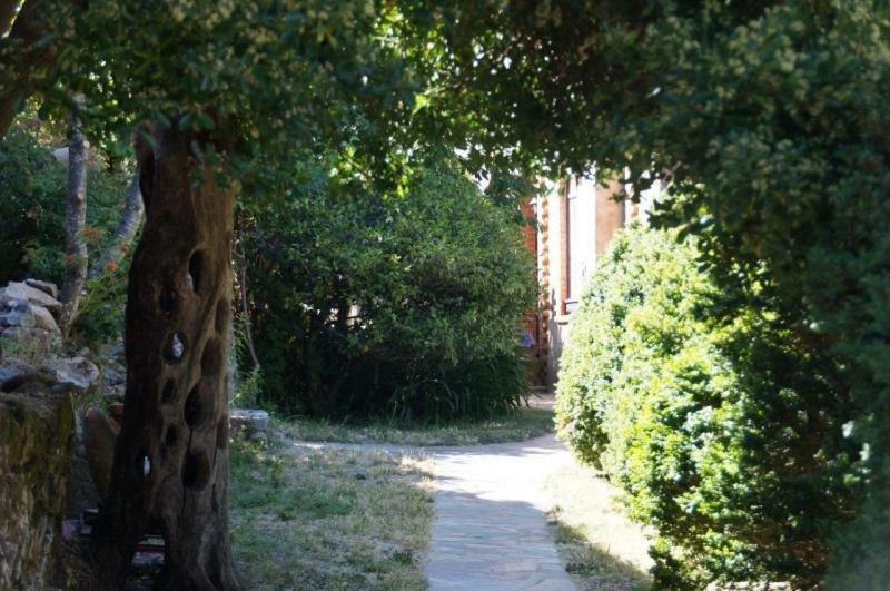 Quinta Algarve Das Relvinhas Monchique Esterno foto