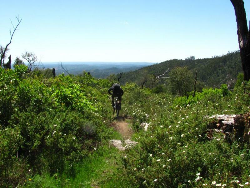 Quinta Algarve Das Relvinhas Monchique Esterno foto